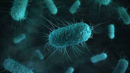 news thumbnail image