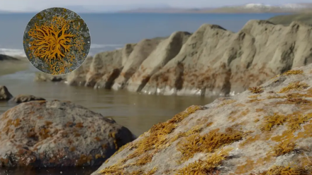 news thumbnail image