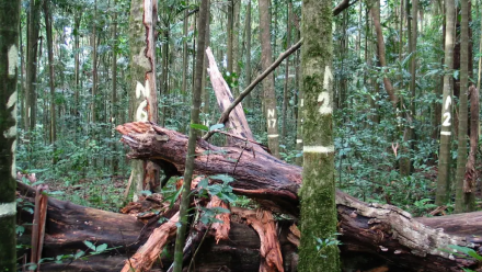 news thumbnail image