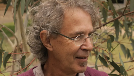 news thumbnail image