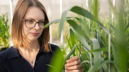 news thumbnail image