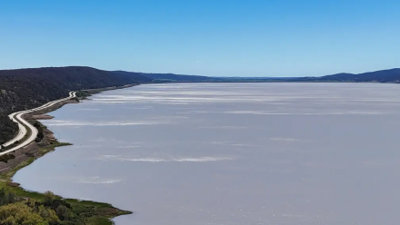 news thumbnail image