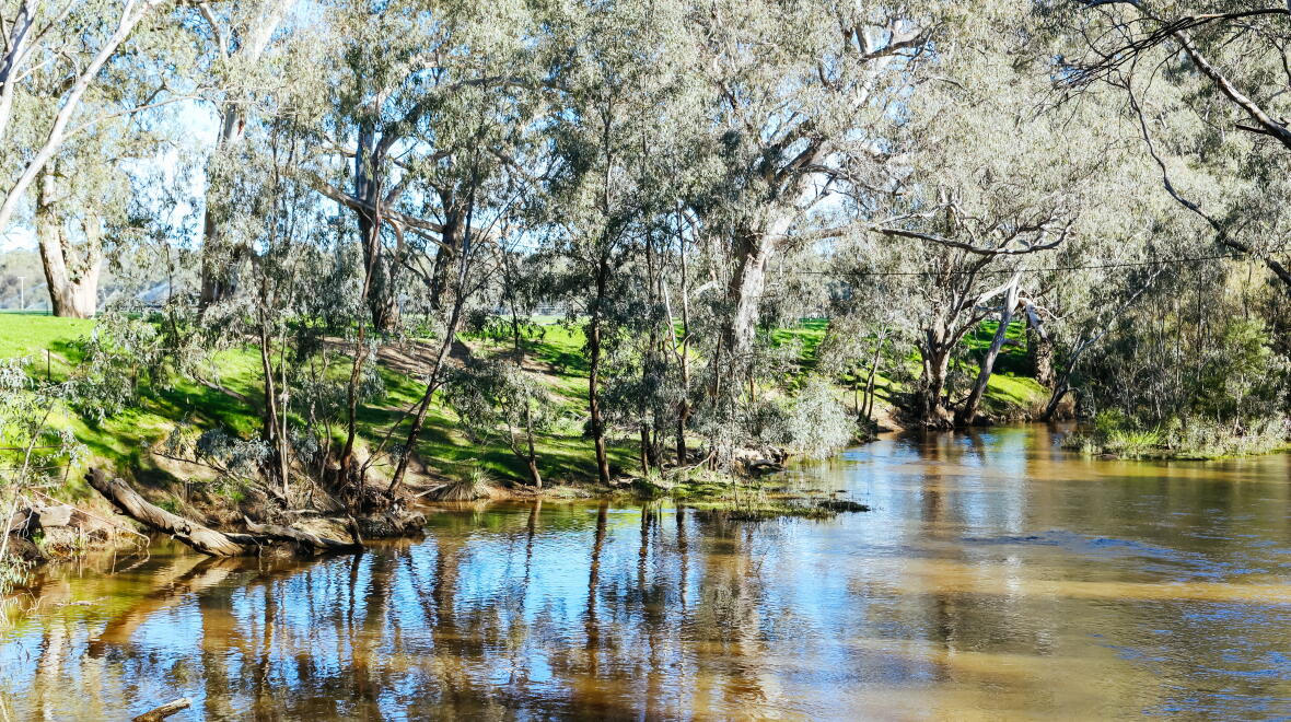 Despite massive taxpayer funds, the basin reforms have not delivered. Photo: FiledIMAGE / Adobestock