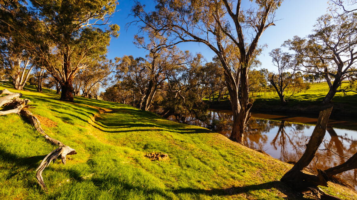 The findings are alarming for a natural asset so fundamental to Australia. Photo: FiledIMAGE / Adobestock