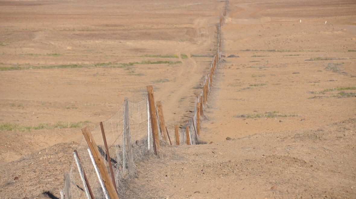 A long dingo fence used to keep out dingoes in South Australia. Photo: Don Serhio / Adobe