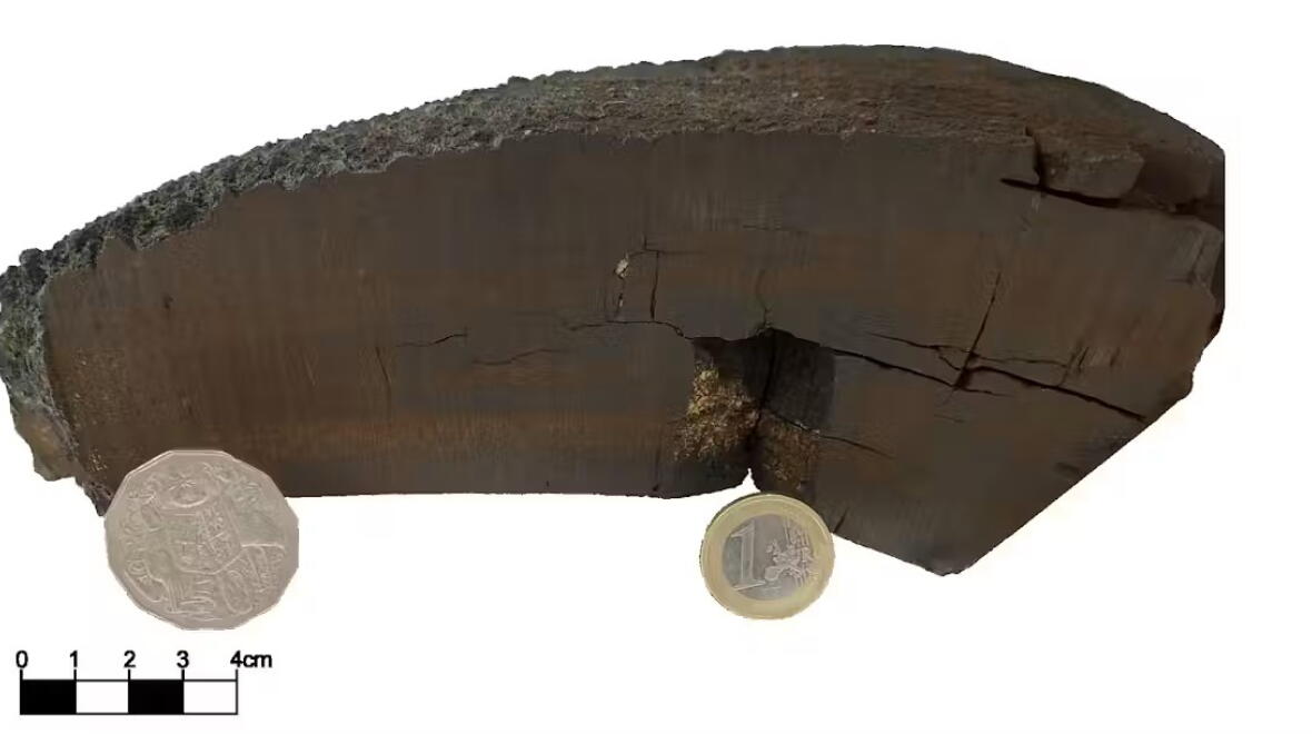 Ferromanganese crust sample VA13/2-237KD analysed in this work. The anomaly was discovered in this crust at a depth of about 30mm – representing 10 million years. Image: Dominik Koll