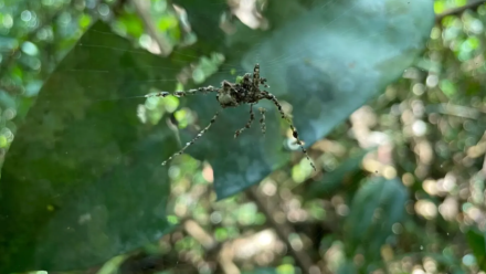 news thumbnail image